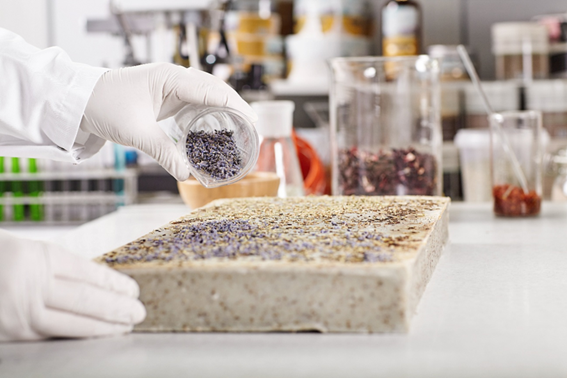 Laboratorio - Imagen 2